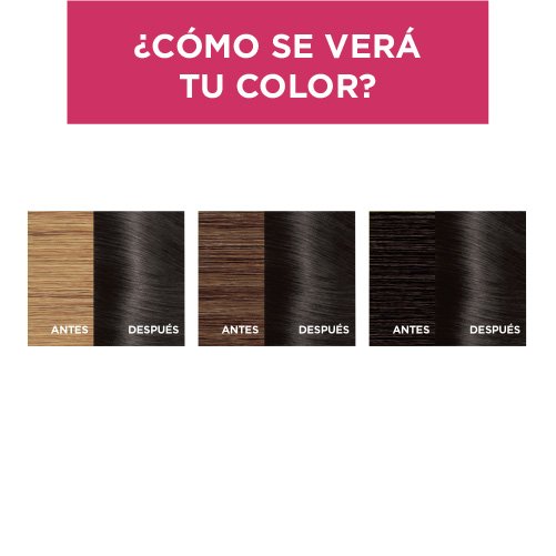 EXCELLENCE TINTE CASTANO 400 RESULTADOS